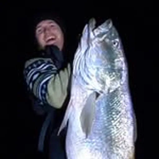@nevsfishing profile image