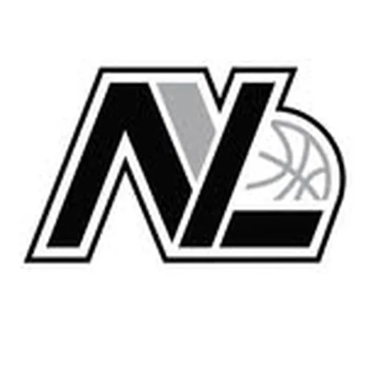 @new_york_lightning profile image