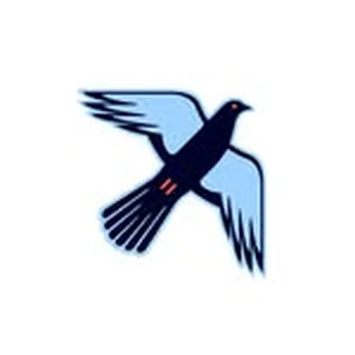 @newyorkcityfcii profile image