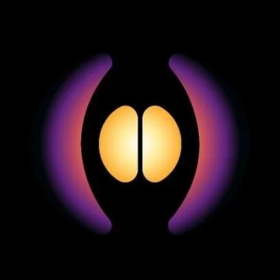 @nexas.pro profile image