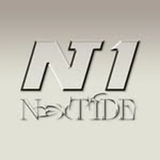 @next1de_official profile image