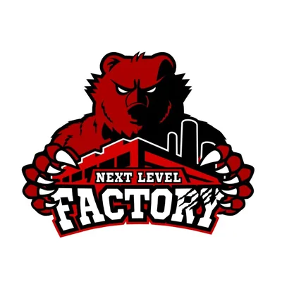 @nextlevelfactory profile image