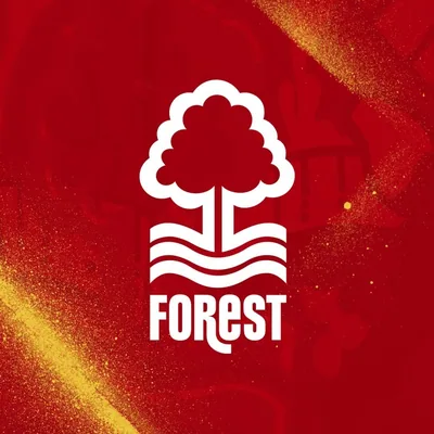 @nfnetball profile image
