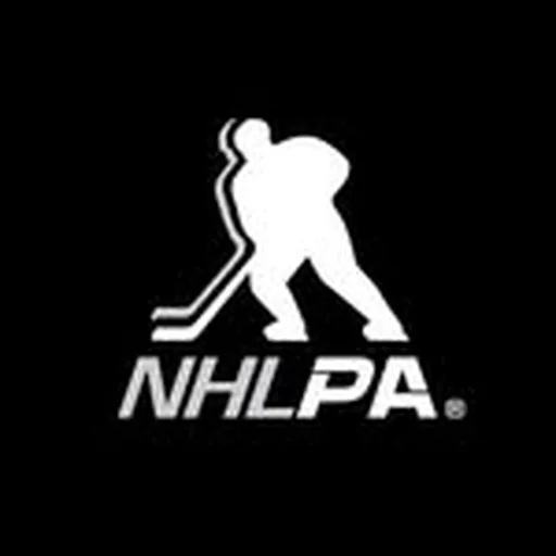 @nhlpa profile image