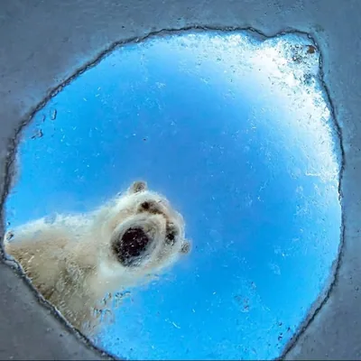 @nhm_wpy profile image