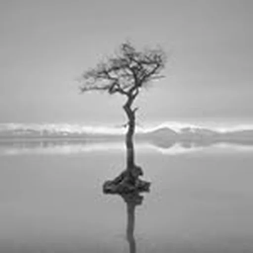 @nickgreen1962 profile image
