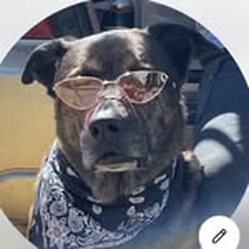 @nickpeterslam profile image
