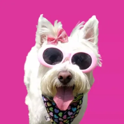 @nicole_dogwestie profile image