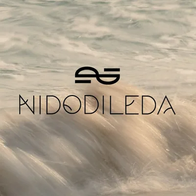 @nidodileda profile image