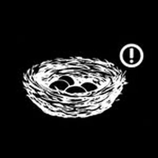 @nidonidomx profile image