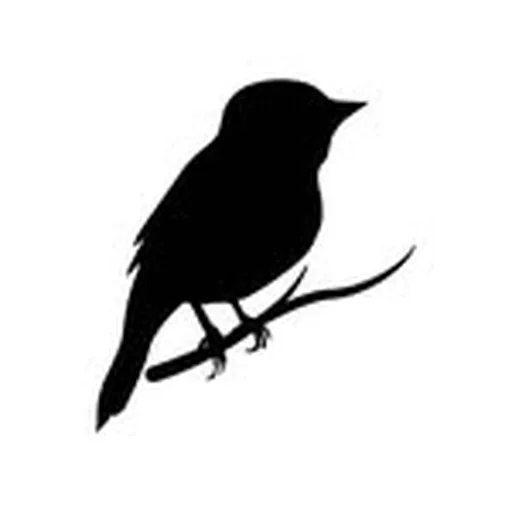 @nightingalegallerymelbourne profile image