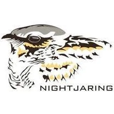 @nightjaring profile image