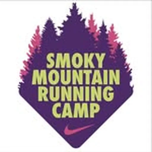 @nikesmrc profile image
