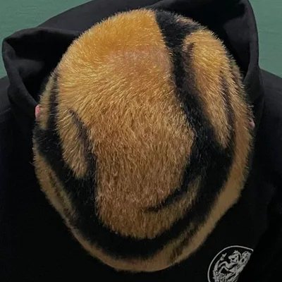 @niketaz profile image