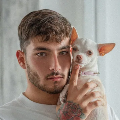 @nikiozeri profile image