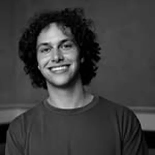 @nikolameeuwsen profile image