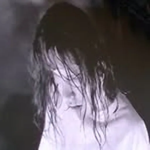 @nikow.tour profile image