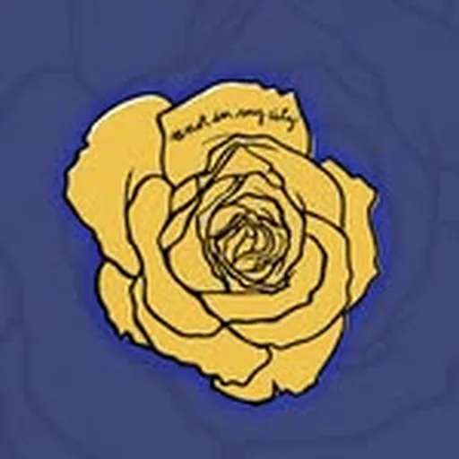 @nimcally profile image