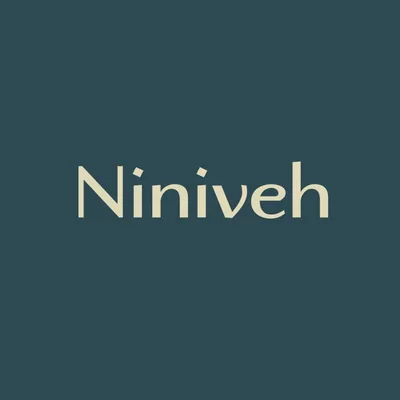@niniveh_space profile image