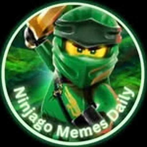 @ninjago_memesdaily profile image