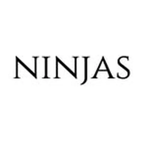 @ninjasmodels profile image