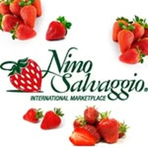 @ninosalvaggios profile image