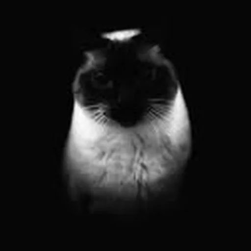 @nlambroza profile image