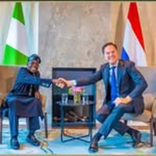 @nlinnigeria profile image