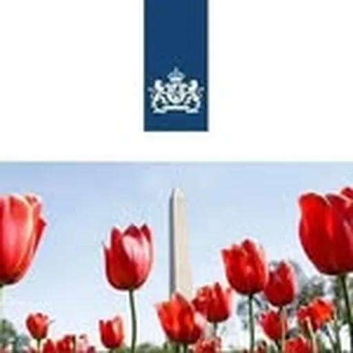 @nlintheusa profile image