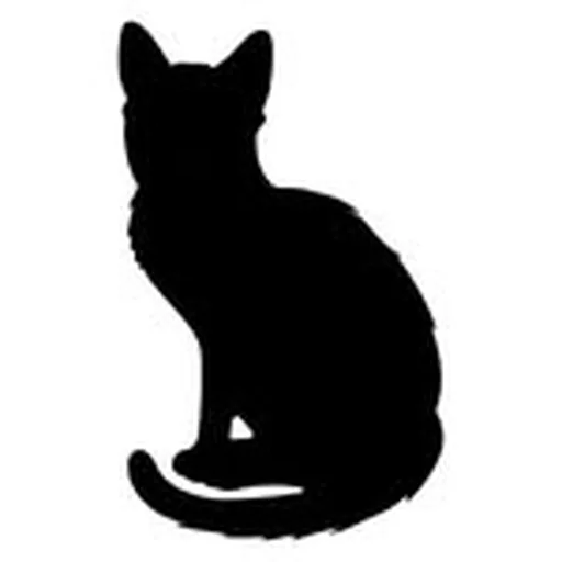 @nmblackcat profile image