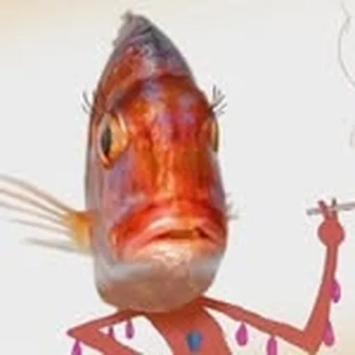 @nmnrden profile image