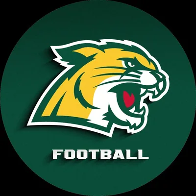 @nmu_football profile image