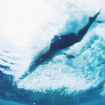 @noa_g profile image