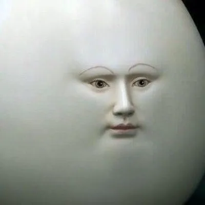 @noanunoparty profile image