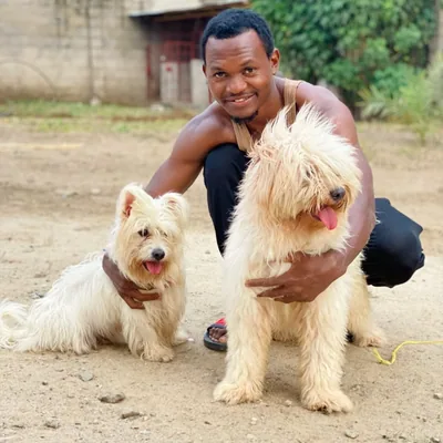 @nobodydogtrainer_ profile image