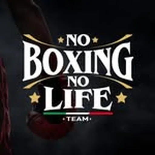 @noboxing_no_life profile image