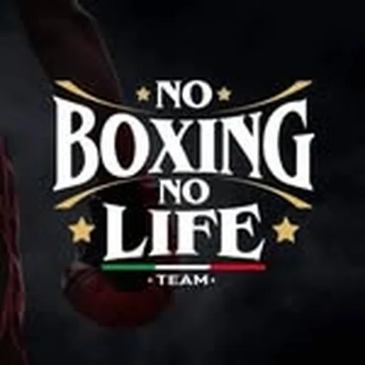 @noboxing_nolife_squad profile image