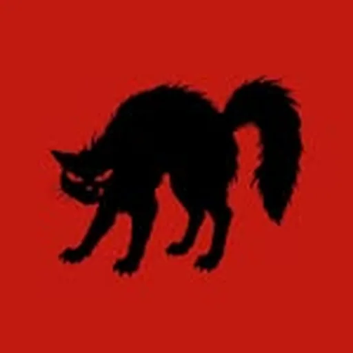 @nocturnaibiza profile image