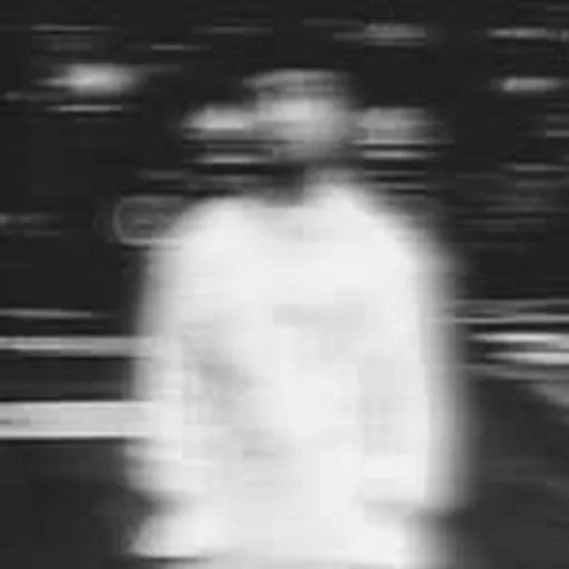 @noeise_ profile image