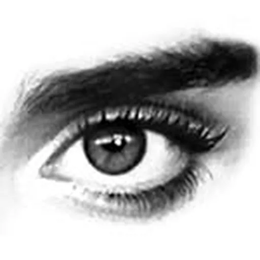 @noemie_nc profile image