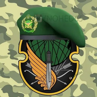 @nohed65 profile image