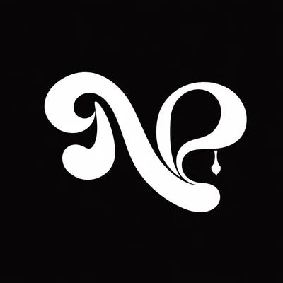 @noir.proyect profile image