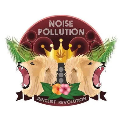 @noisepollution_soundsystem profile image
