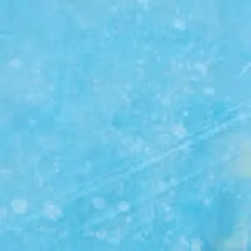 @nokusd profile image