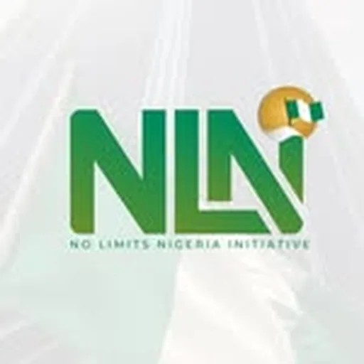 @nolimitsng profile image