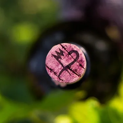@nolovelost.wine profile image