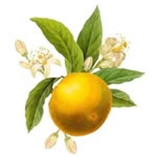@nonnamercato profile image