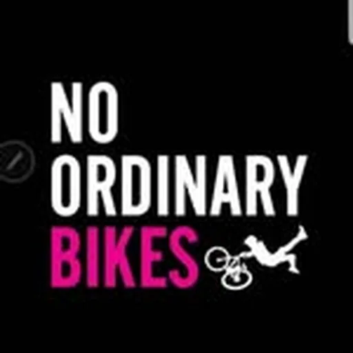 @noordinarybikes profile image