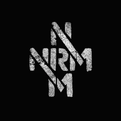 @noregularmusic.ent profile image