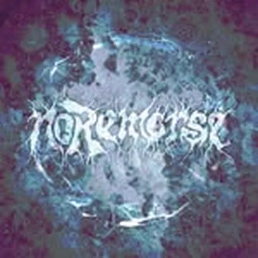 @noremorse_rave profile image
